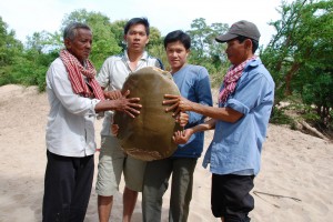 local_community_with_asian_giant_softshell_turtle_cambodian_mekong_sun_yoeung