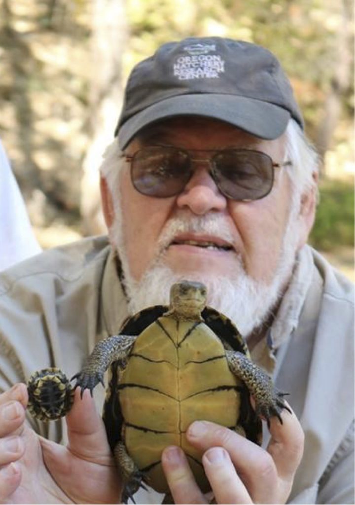 Tortoise and Freshwater Turtle Specialist Group