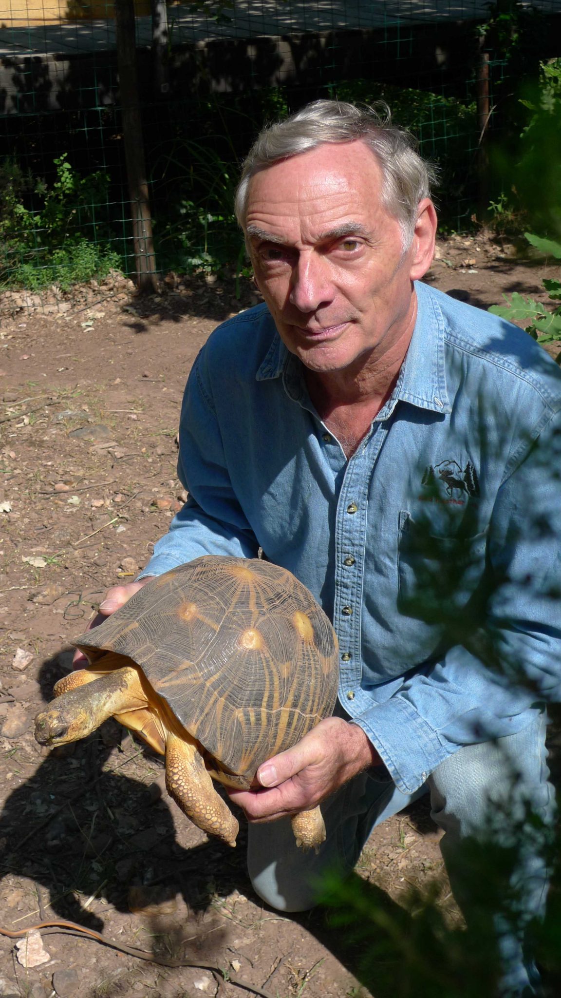 Tortoise and Freshwater Turtle Specialist Group