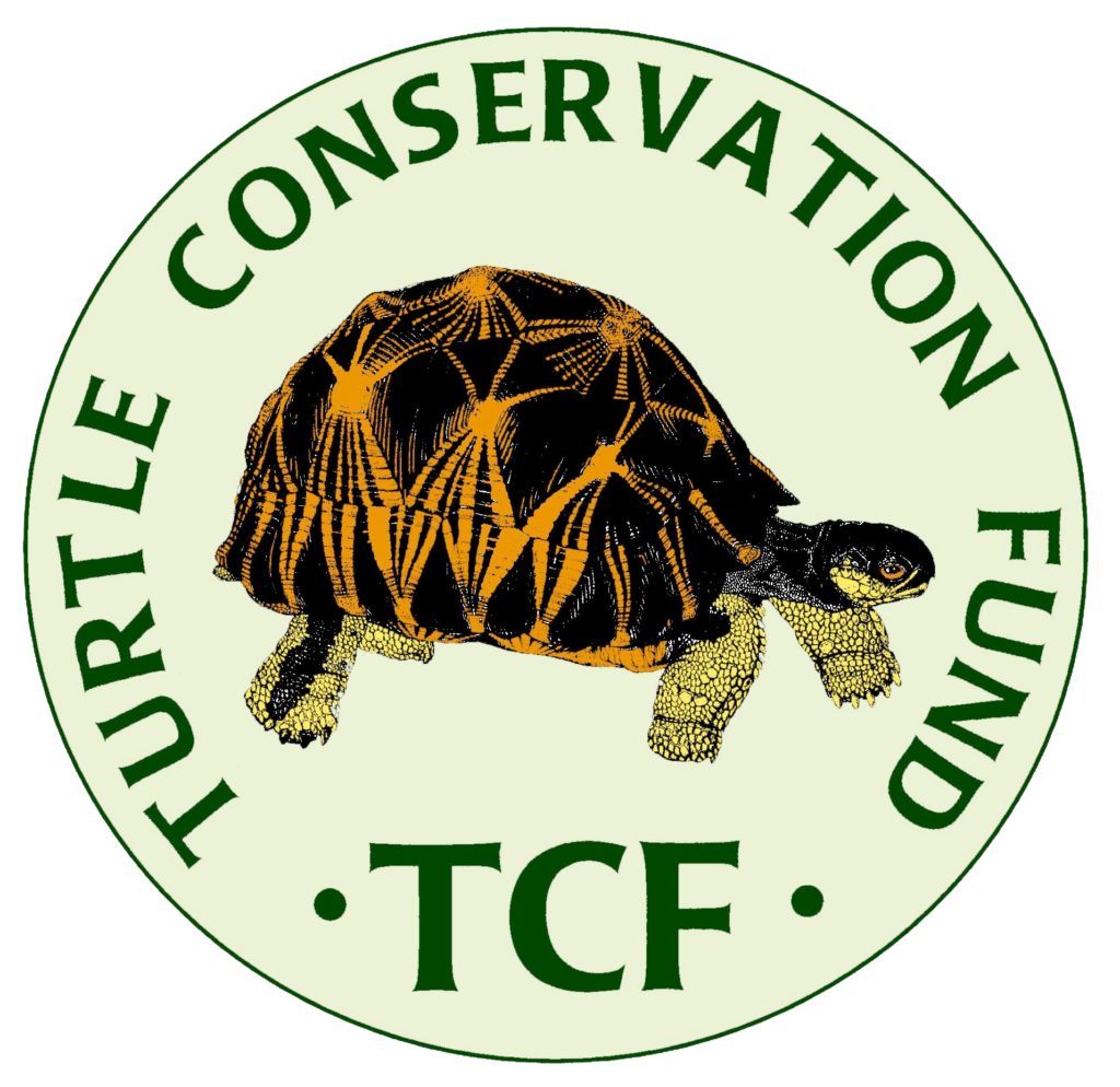 tcf color