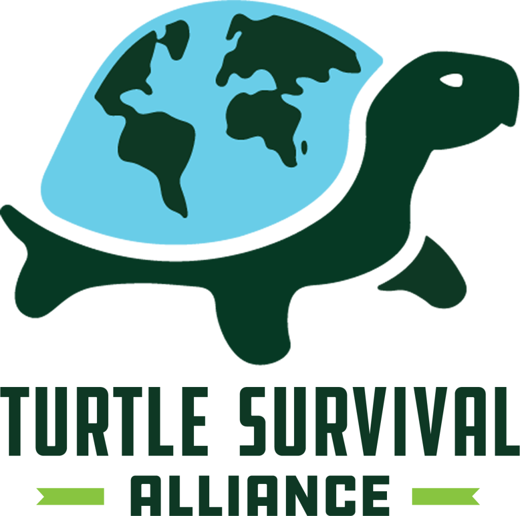 Turtle Survival Allaince Logo Color Vertical White Stacked 1024x1016