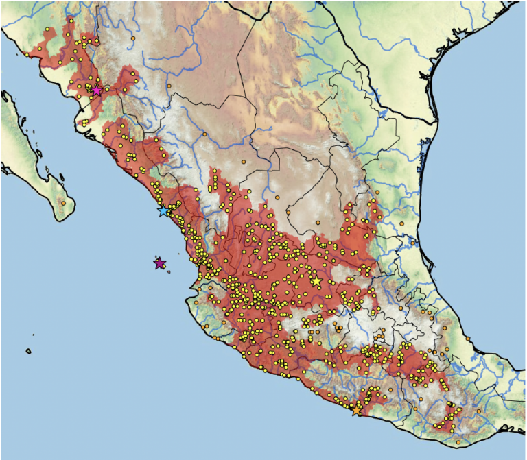 <em>Kinosternon integrum</em> Distribution Map