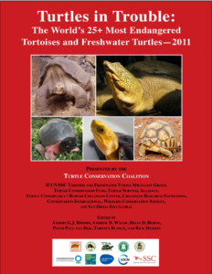 turtles in trouble – 2011 — cover