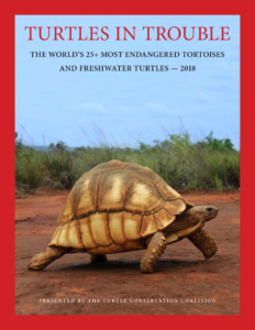 turtles in trouble – 2018 — cover
